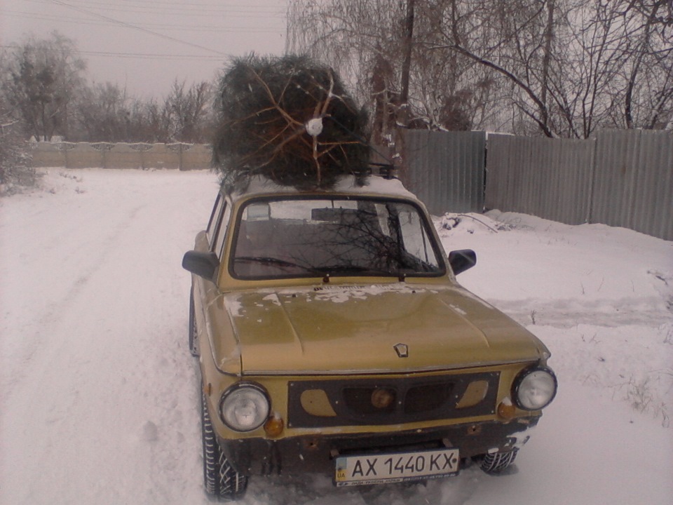 Привіз Ялинку))) 2