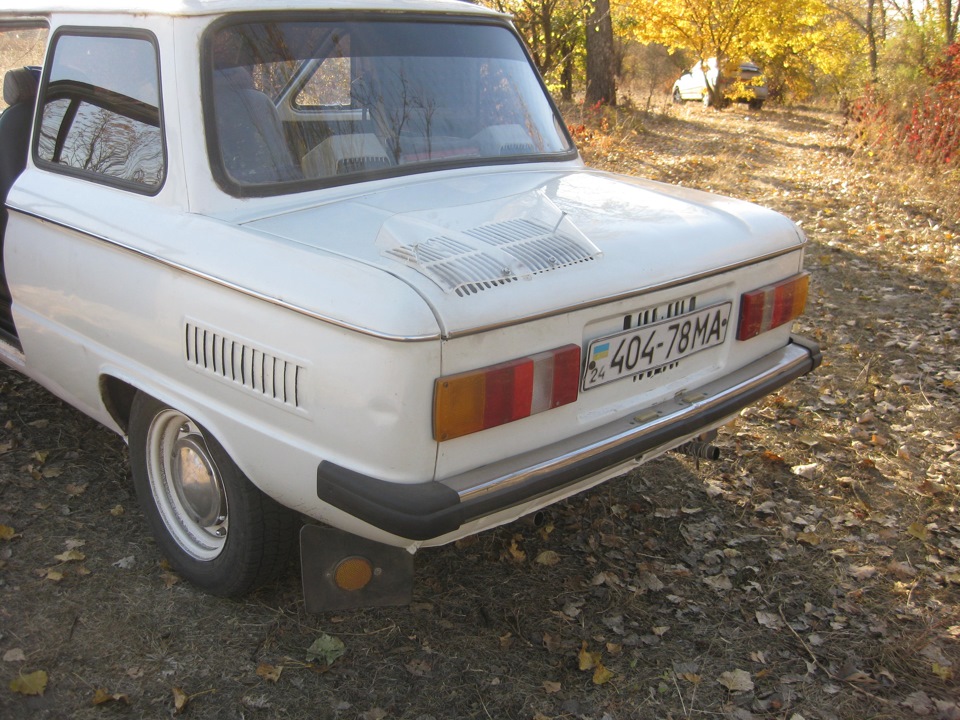 На природі фото! 4