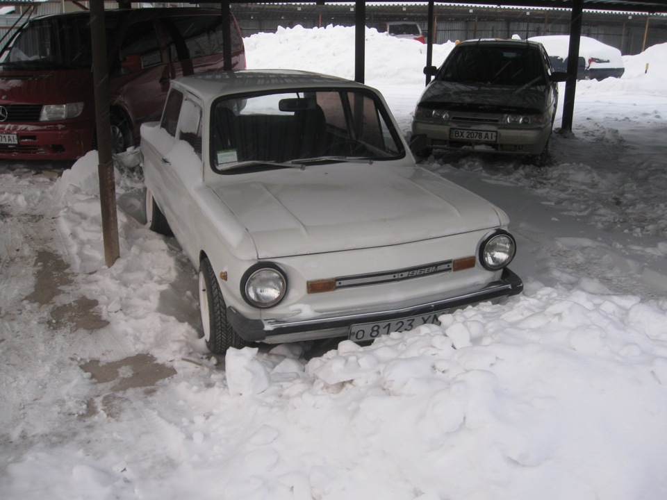 Зимуем) 3