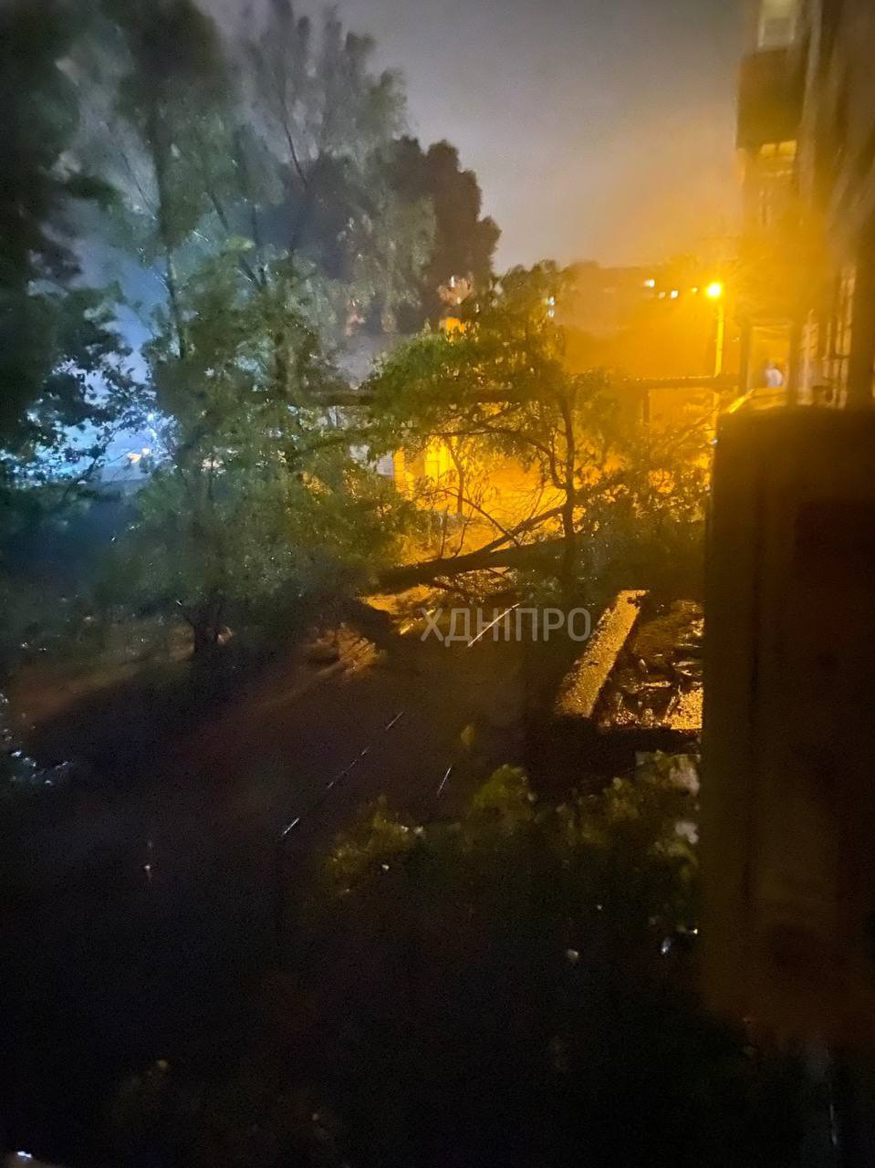 Вижив 3