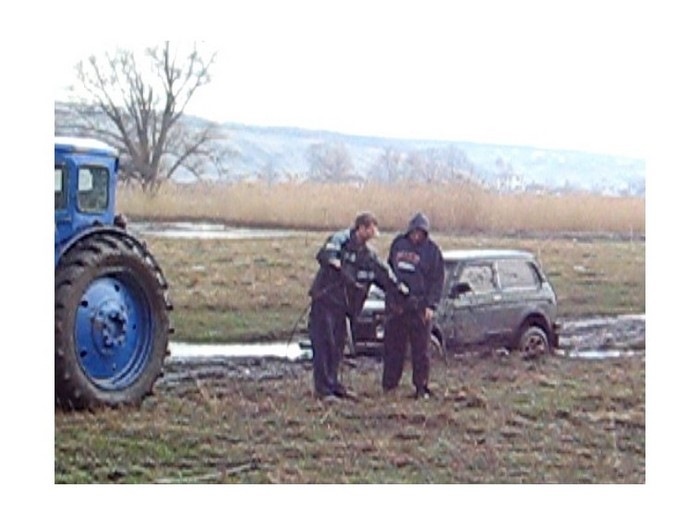хотіли просто м'яса 1