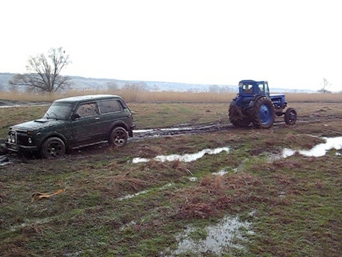 хотіли просто м'яса 3