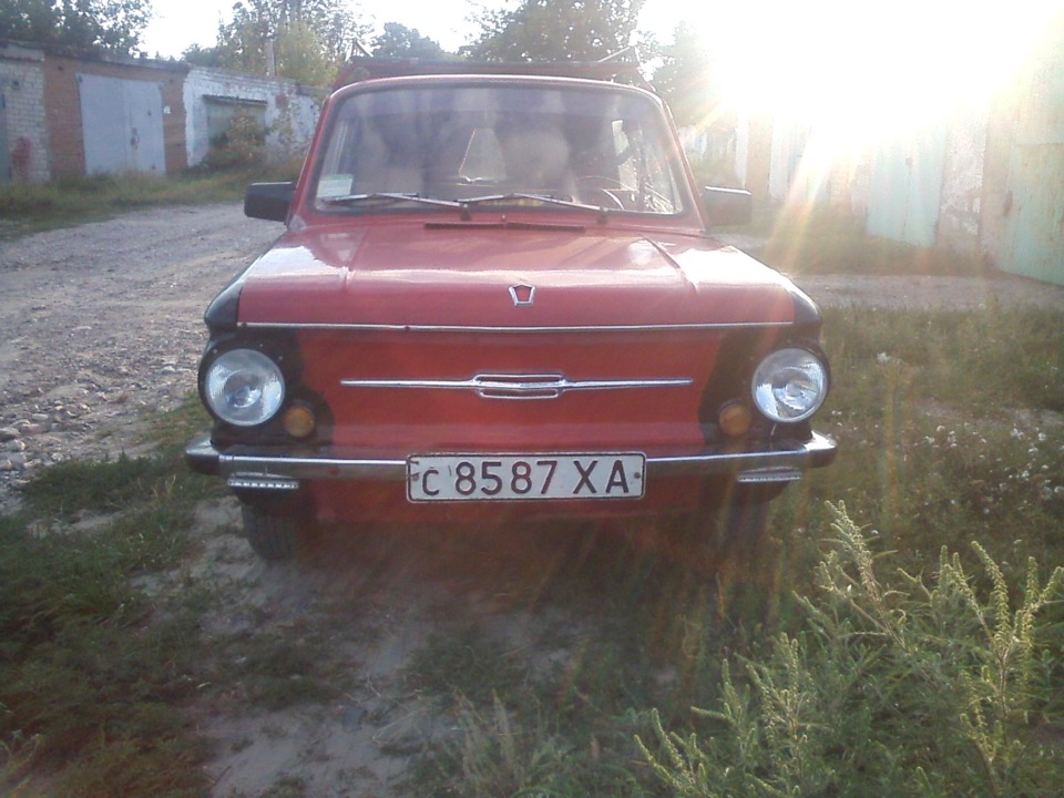 Нові крила))) 1