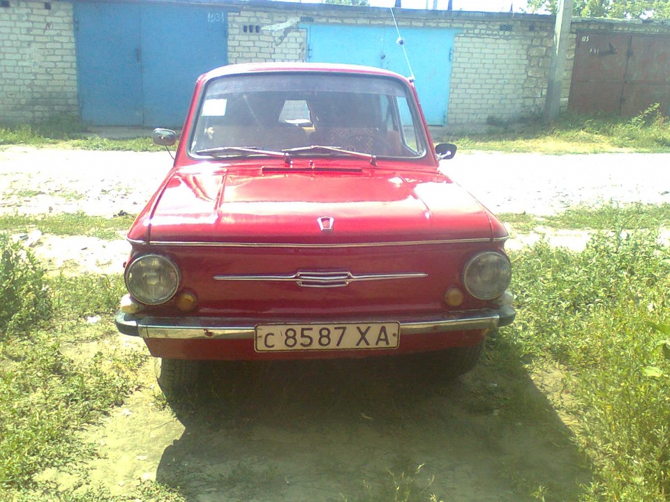 Пофарбувався!..) 3