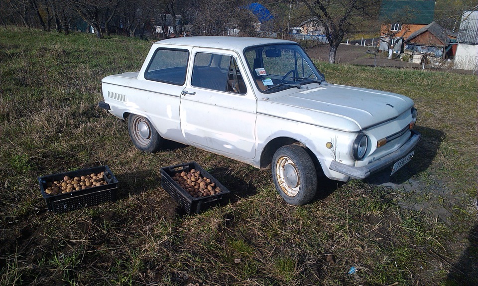 Весняні пригоди) 2