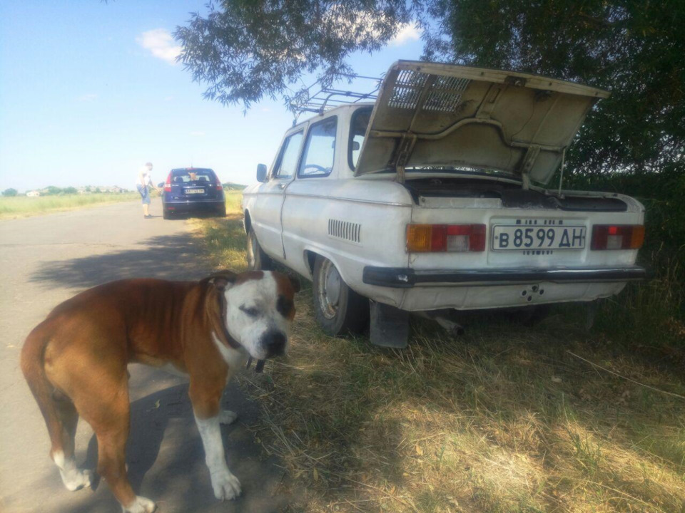 Купівля ЗАЗ 968М-01 2