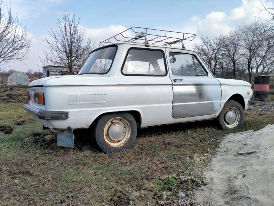 Зиму пережив 1