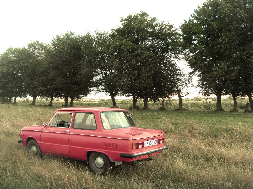 жип на природі… 4