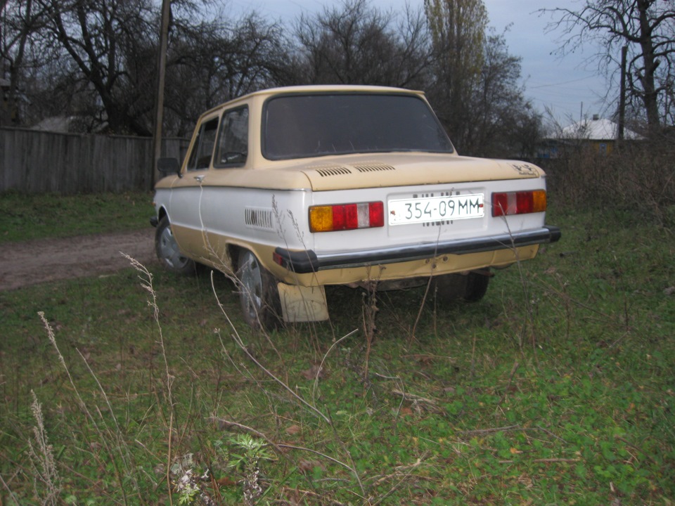 набрид акваріум) 5