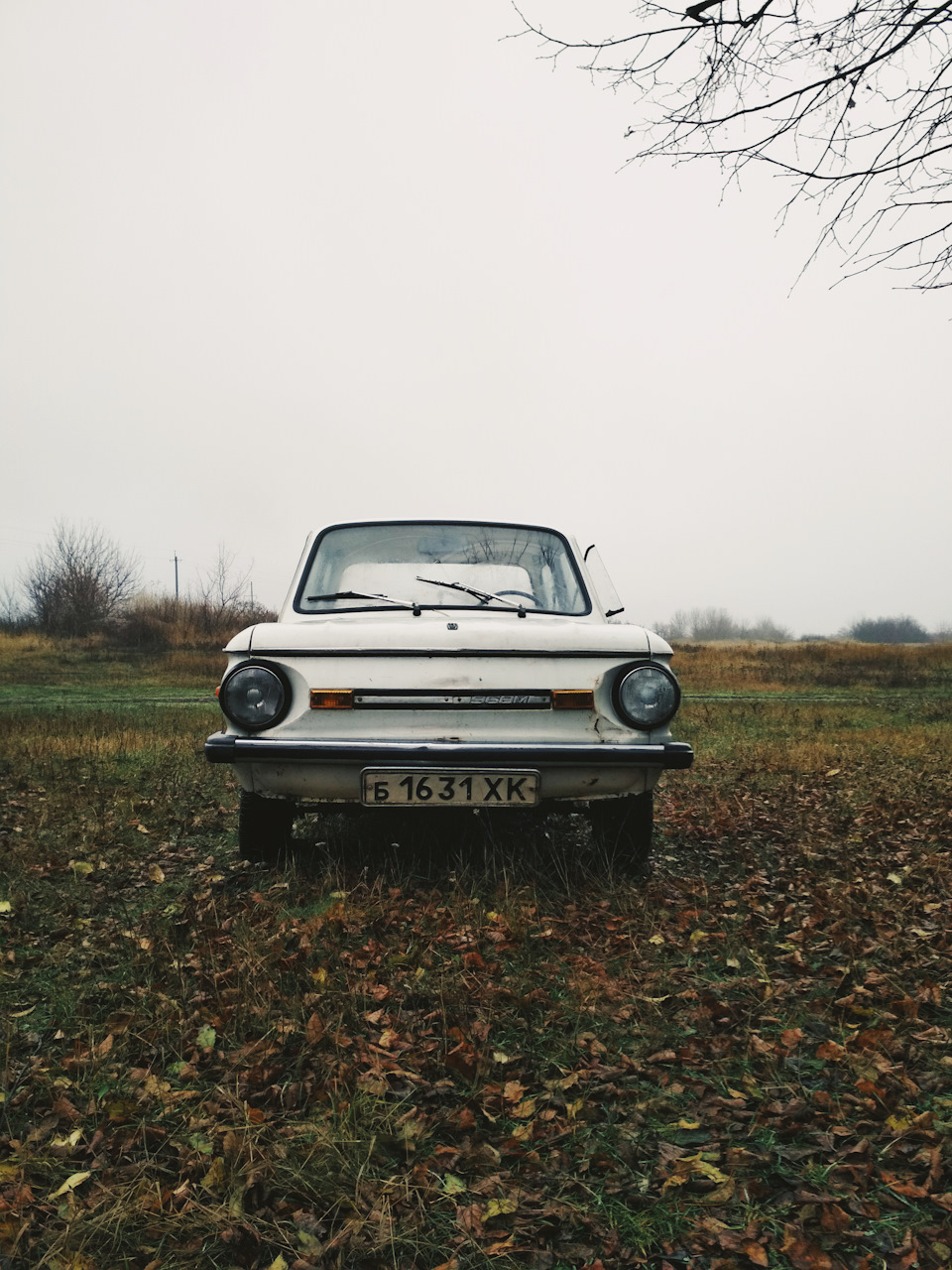 Че пацани, автоспорт? 4