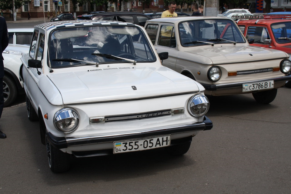 губа 1
