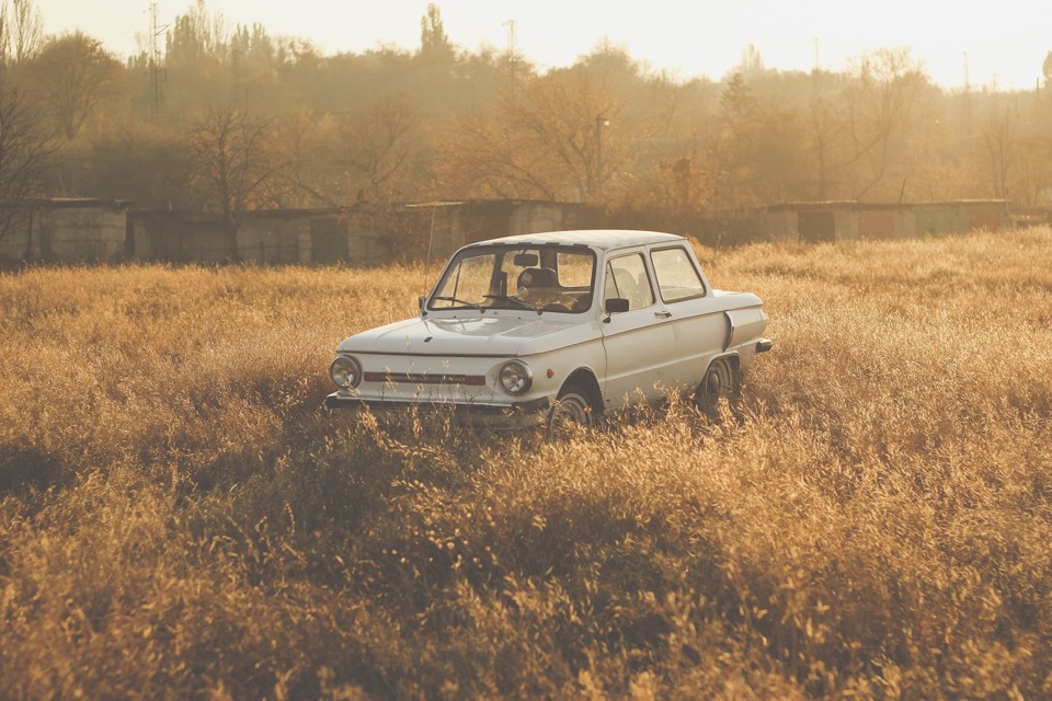 осінній фотосет 3