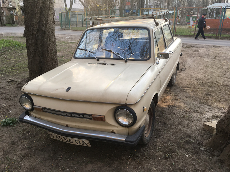 9 Перший хрестовий похід. Куди ж без пригод! Опитування про колір задньої частини-голосуємо! 4