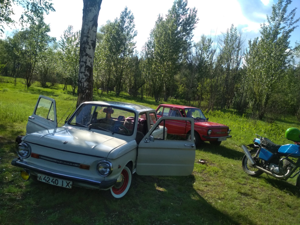 Днюха в колі друзів 5