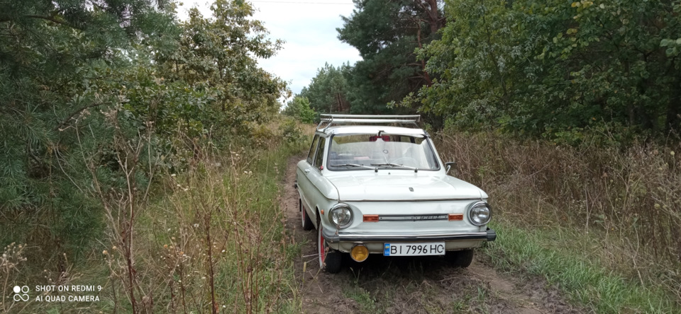 Грибний сезон відкрито 4