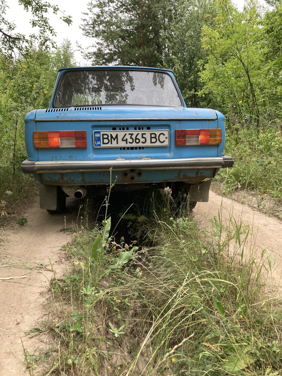 Повернення зі сплячки 1