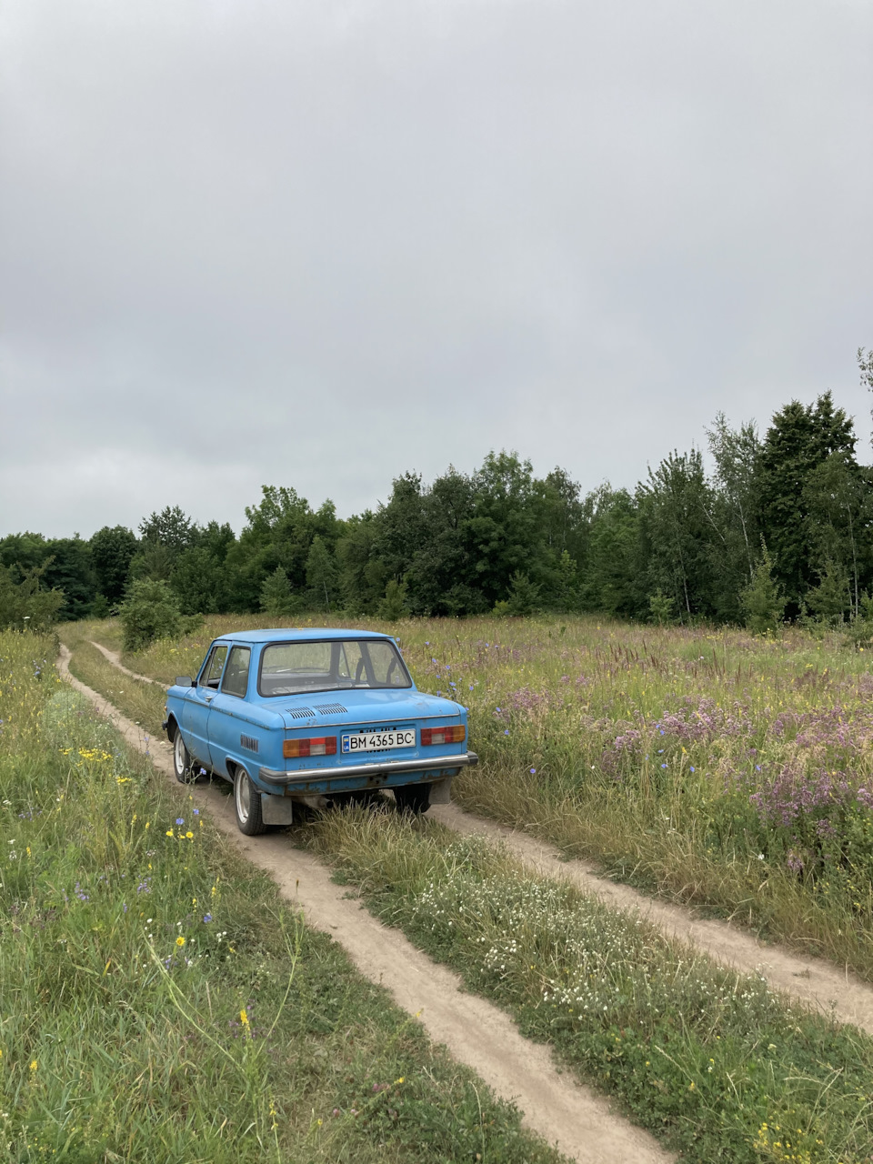 Повернення зі сплячки 3