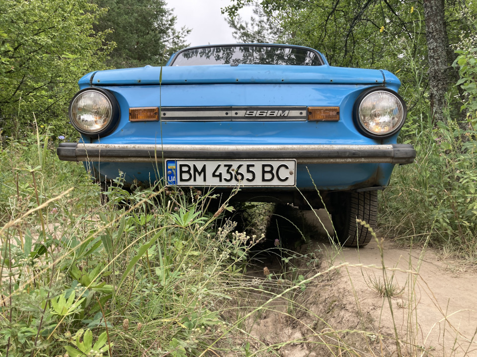 Повернення зі сплячки 2