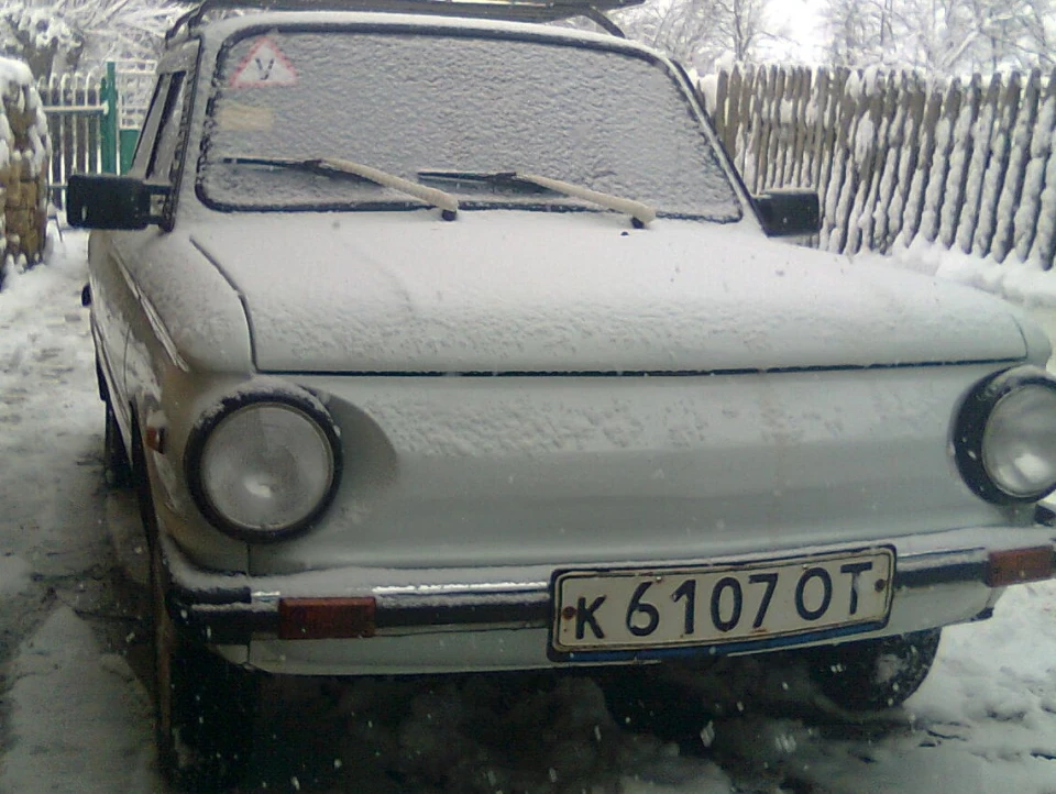 зимівля