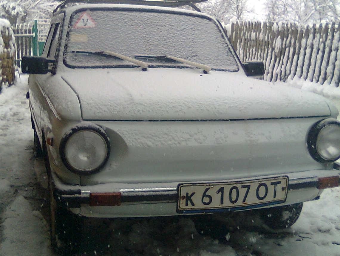 зимівля 1