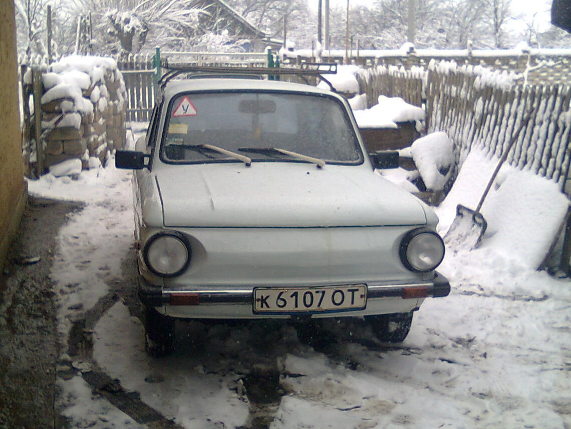 зимівля 3