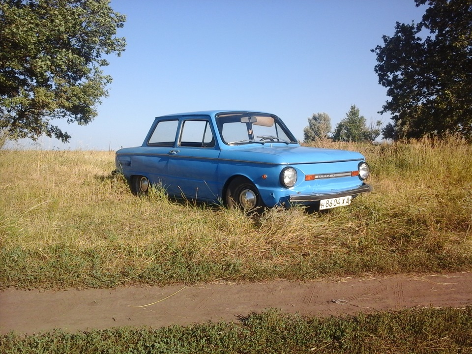 Покотушки 5