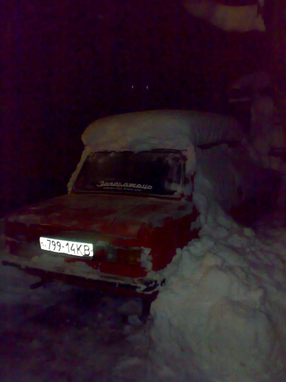 SOS (Save Our Sapos) або відкопуємося 3