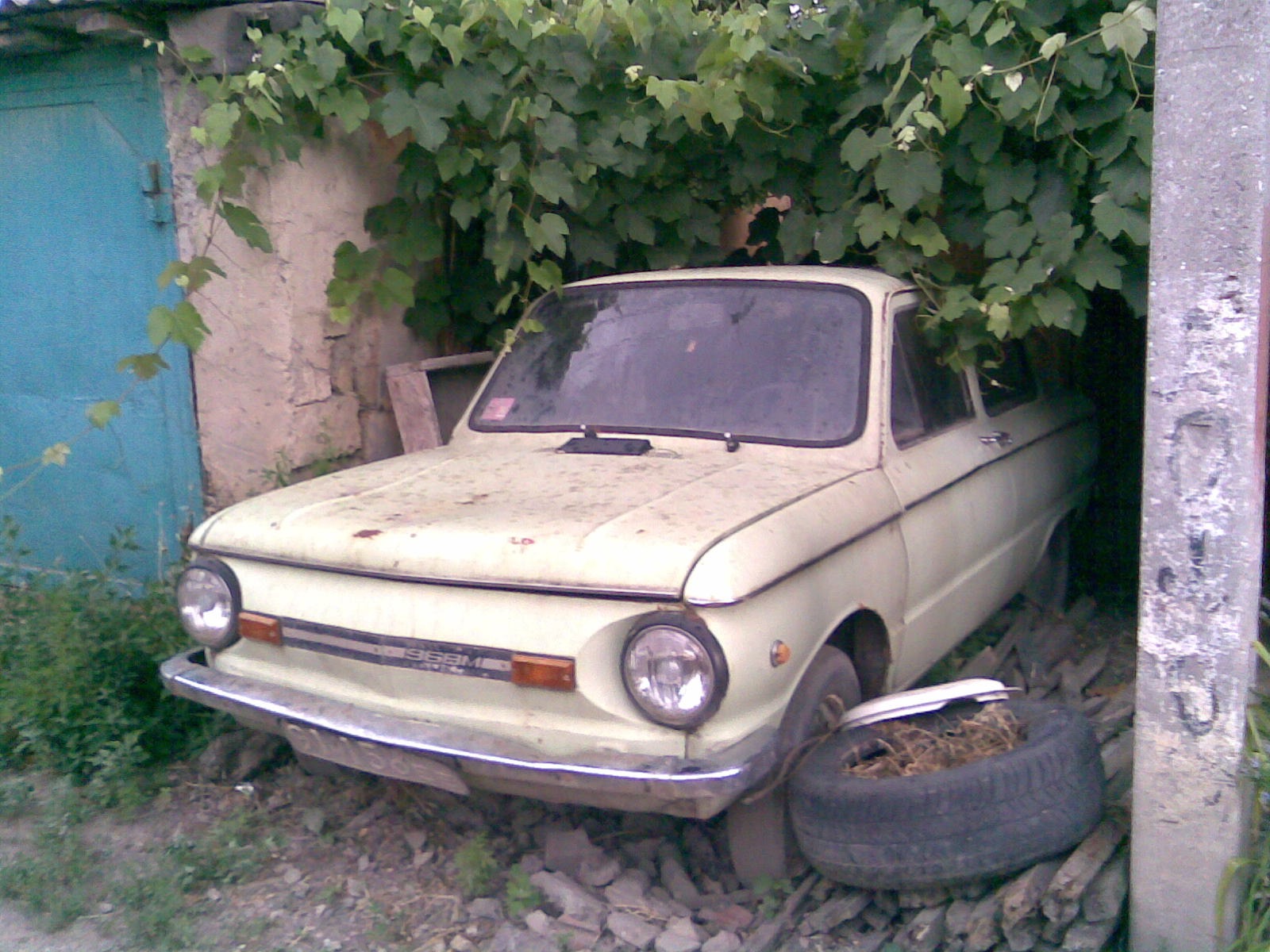 ось таким я його взяв... 1