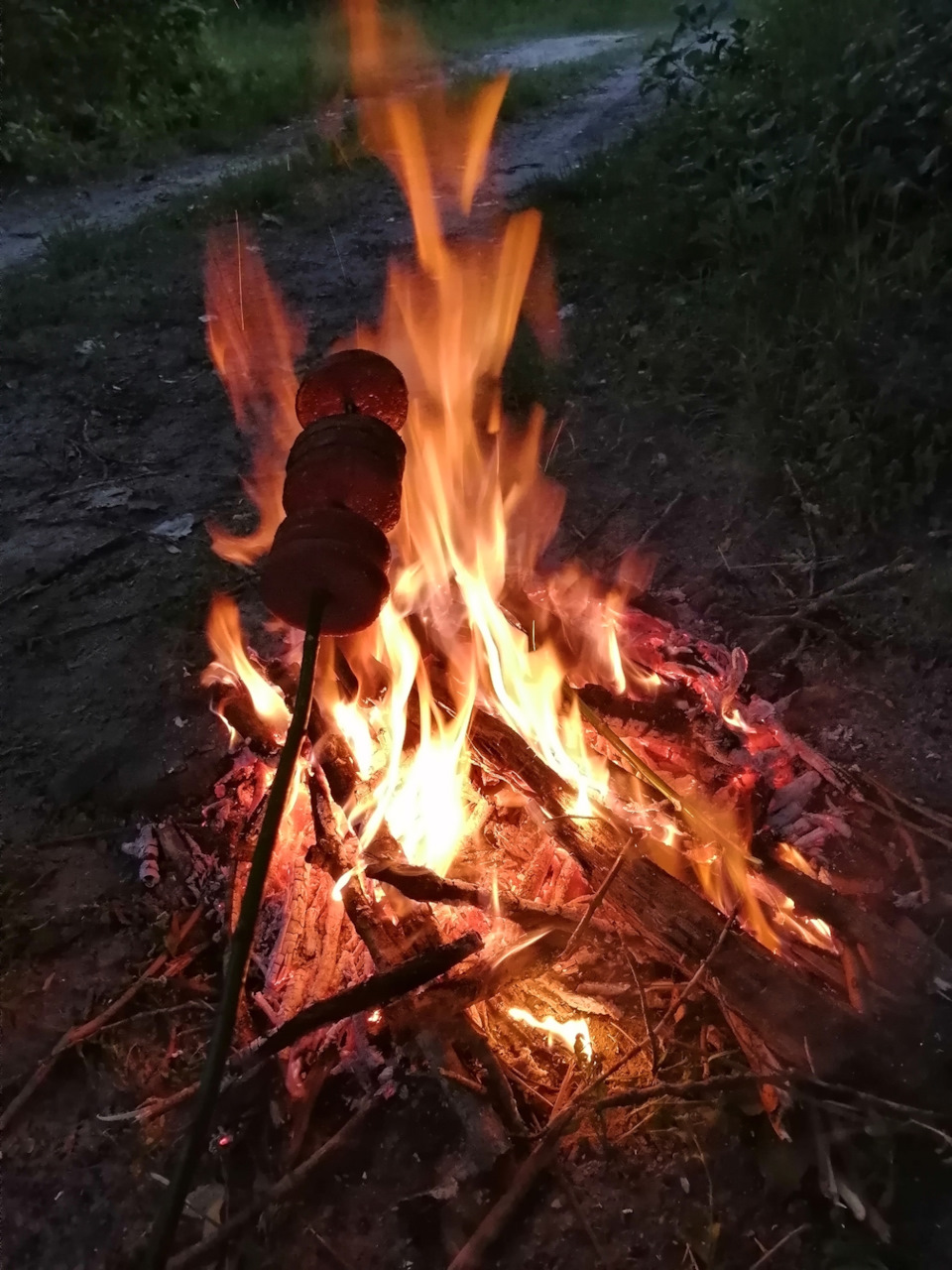 Нарешті то природа 2