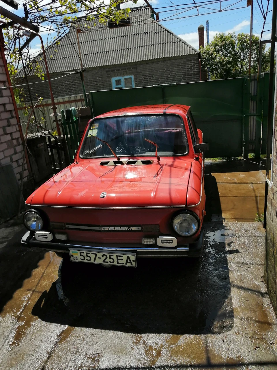 Невеликий звіт і трохи про плани