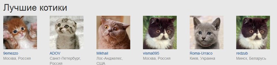 Ахахах, котяри... 1