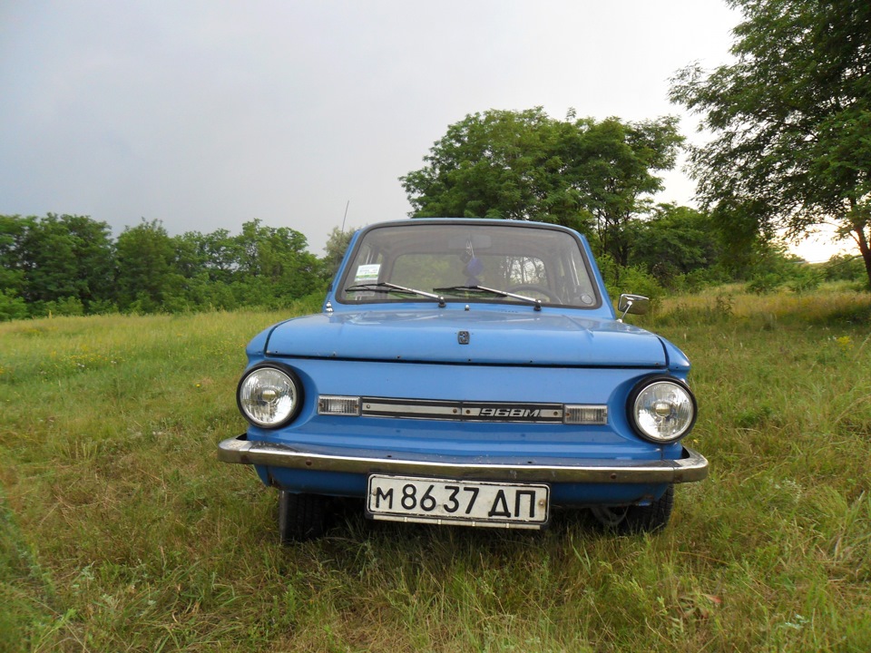 Фото Зазика на природі! 2