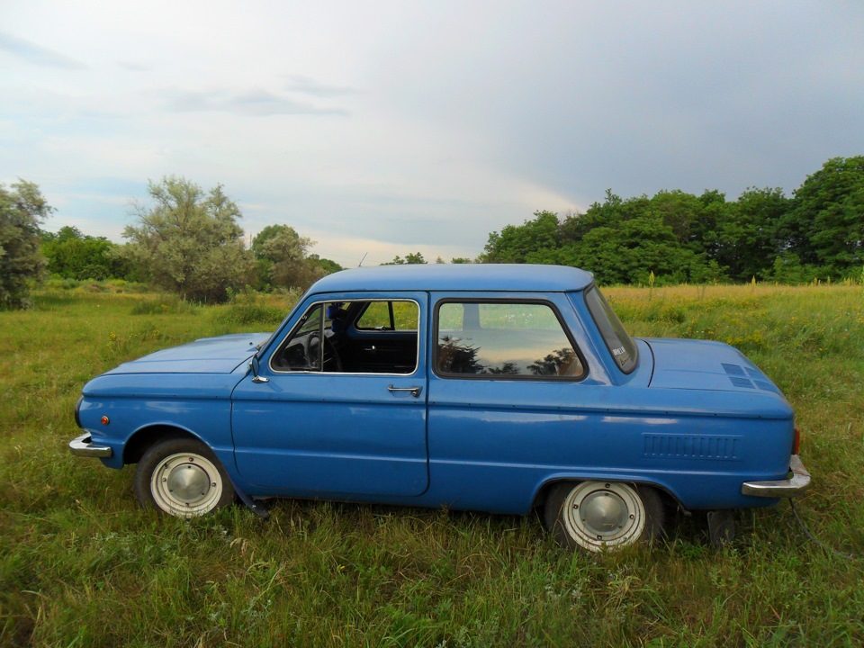 Фото Зазика на природі! 4