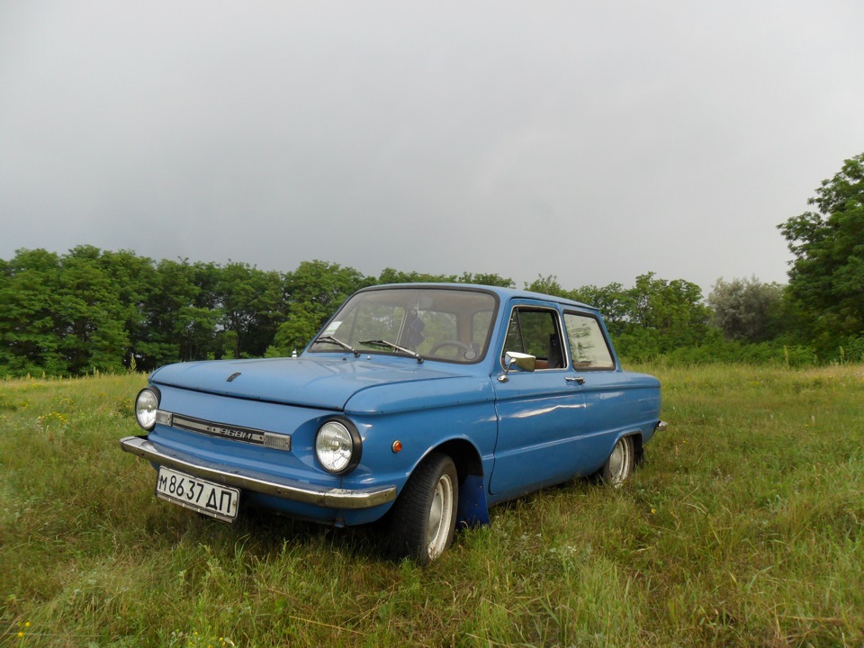 Фото Зазика на природі! 3