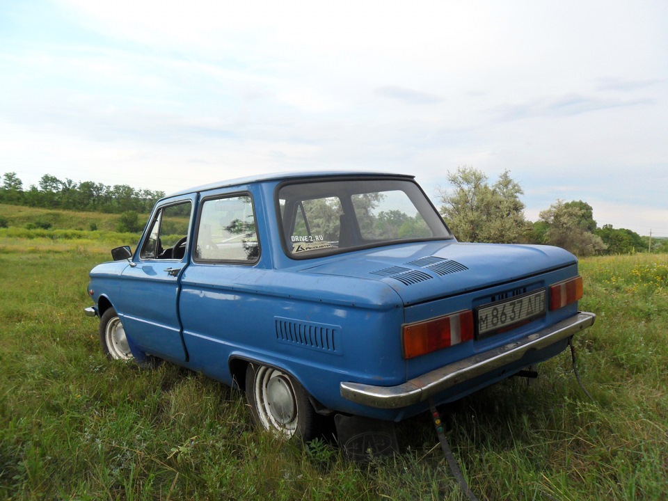 Фото Зазика на природі! 5