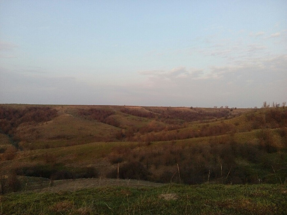 Фотосесія 1