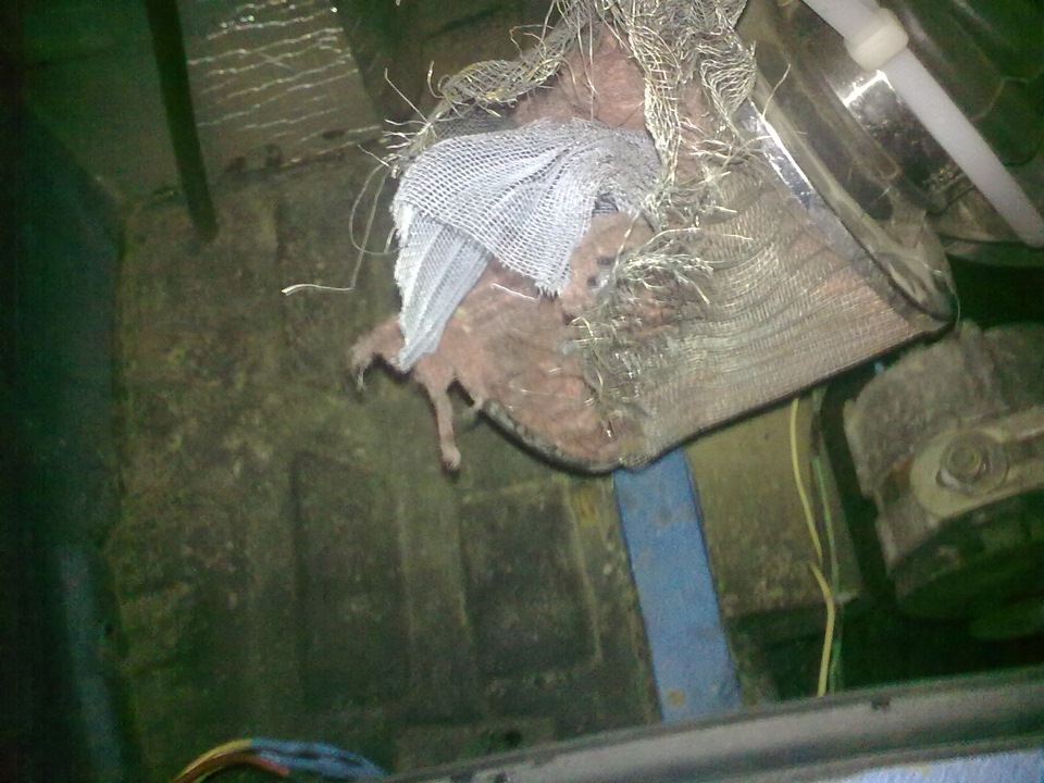Печааааль ... 2