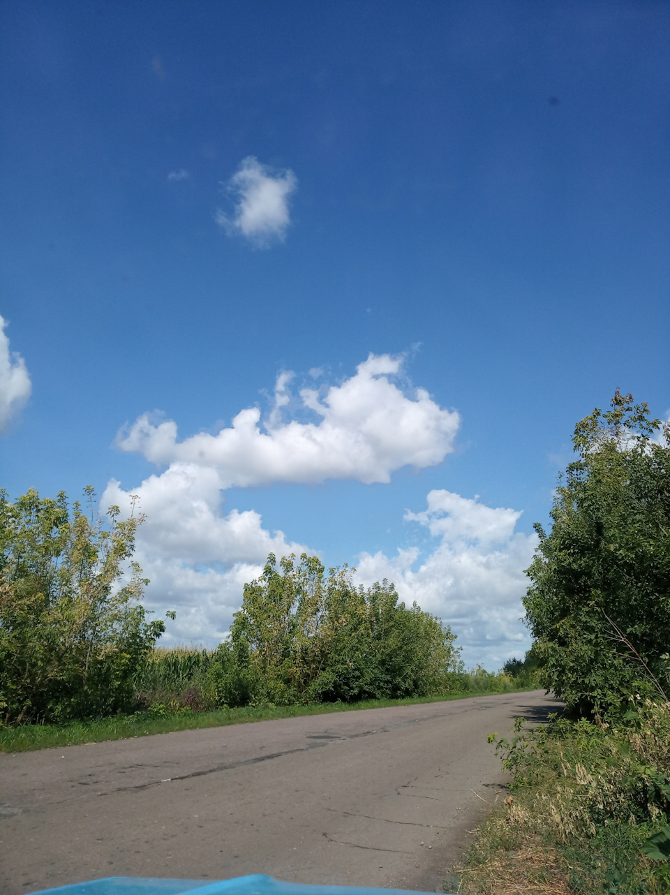 Перша дальня подорож 3