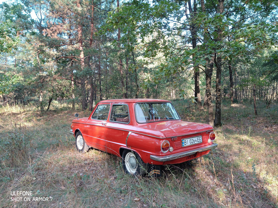 Гриби! 2