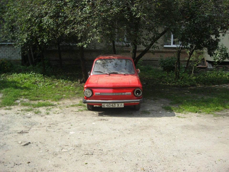 Поставив губу