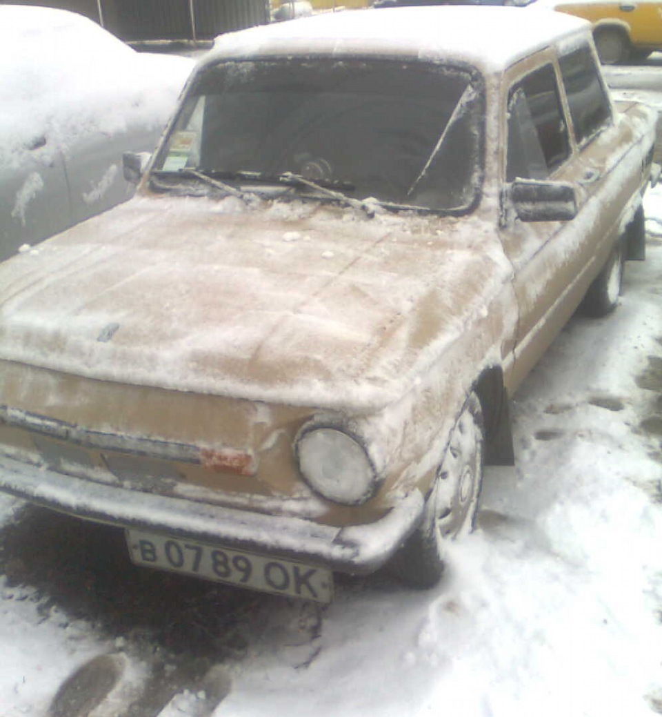 Ну вот и пришла зимушка… 3