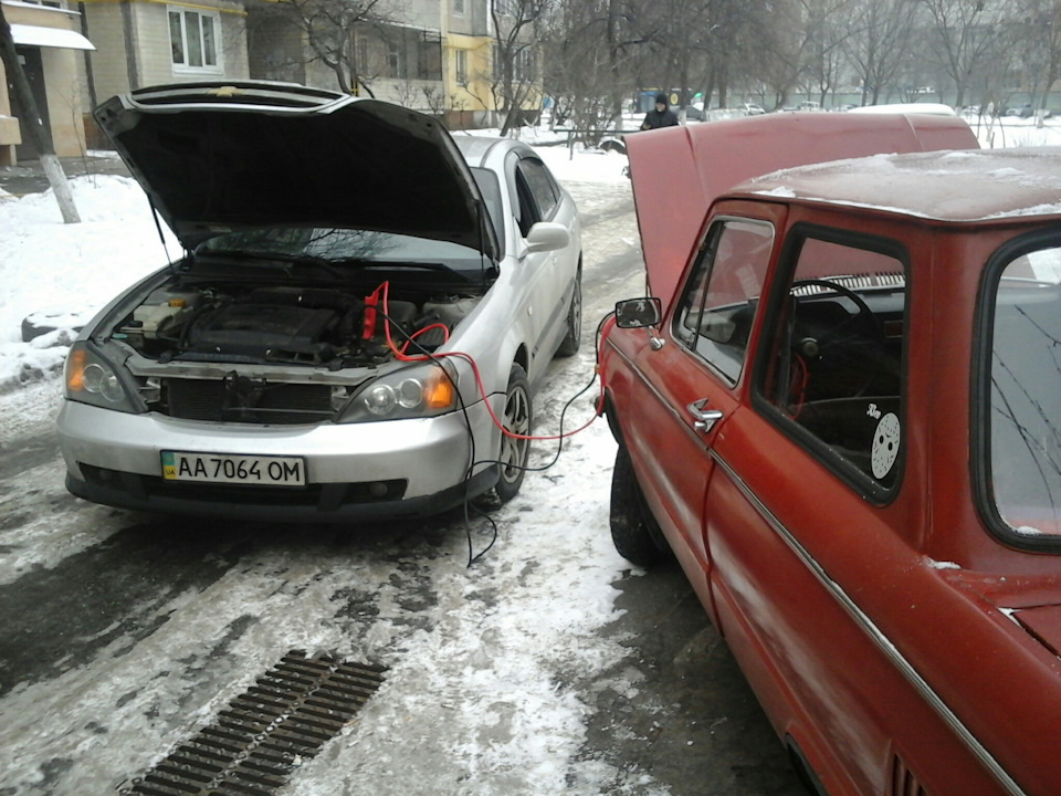 Покошмарили 5