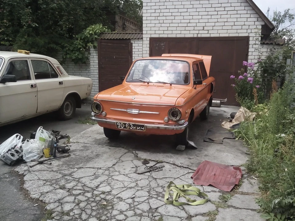 Найперший день мого володіння рижиком!)