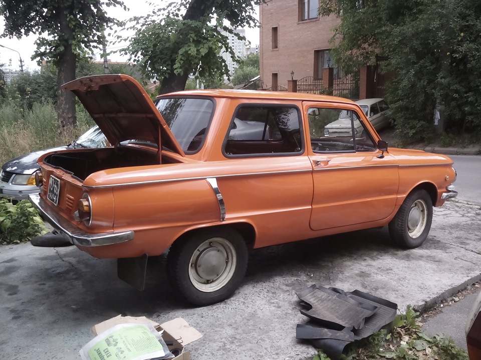 Найперший день мого володіння рижиком!) 2