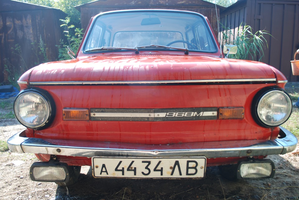 нові фотки 4