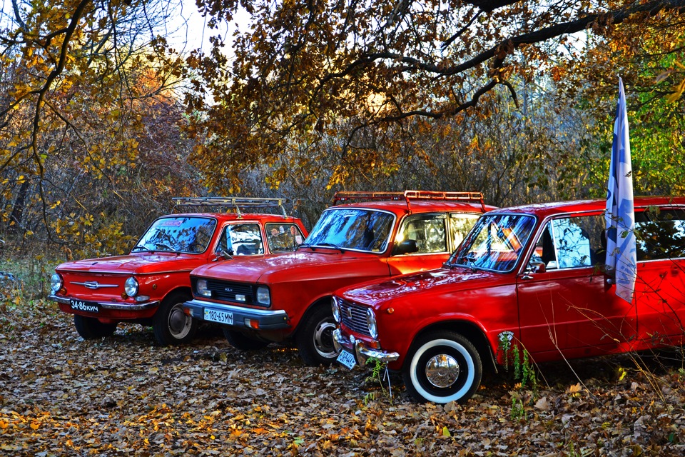 Закриття сезону. Клуб RCK(31,10,2015) 4