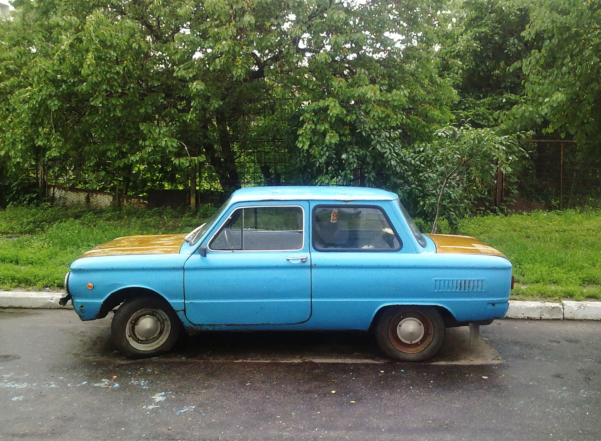 Ранковий дощовий фотосет, фарбування дрібниці)) 2