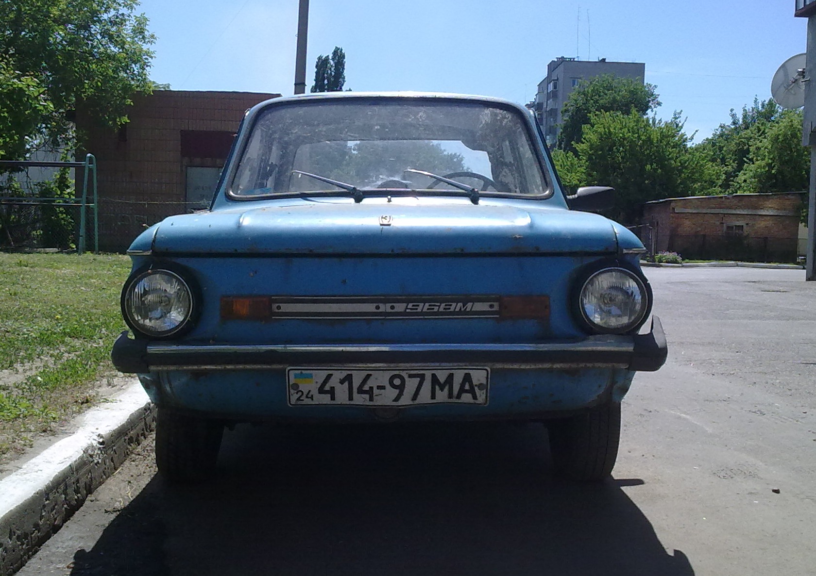 Ранковий дощовий фотосет, фарбування дрібниці)) 3