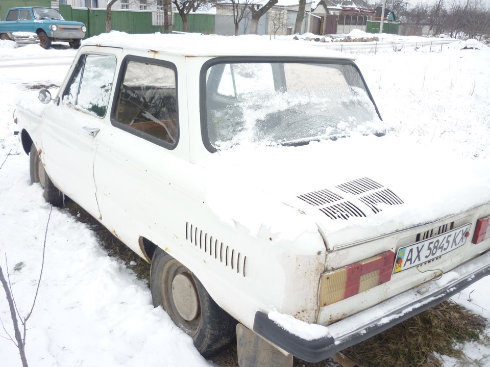 Сніжок з'явився( 1