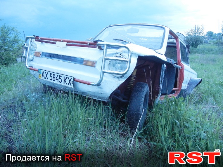 Сніжок з'явився( 5